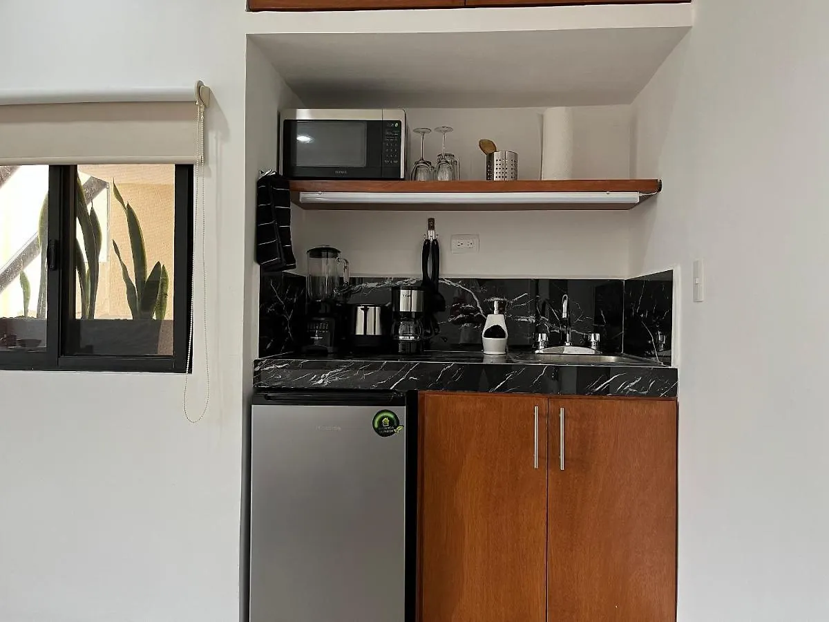 Apartment Comfy And Cute Studio Midtown Playa Del Carmen Mexico
